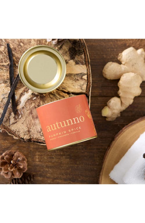 Via Mercato Autunno Pumpkin Spice Candle In Multi
