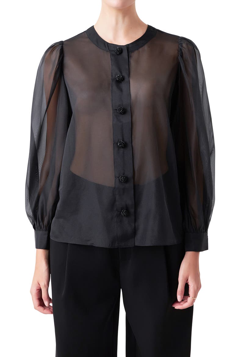 Sheer Organza Top, Alternate, color, BLACK
