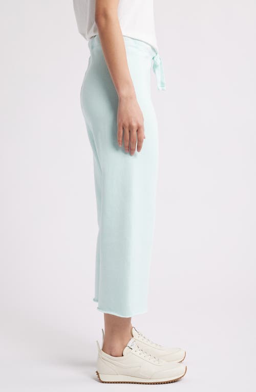 Frank & Eileen Catherine Favorite Sweatpant In Dewberry Mineral Wash In Dewberry Mineral Wash