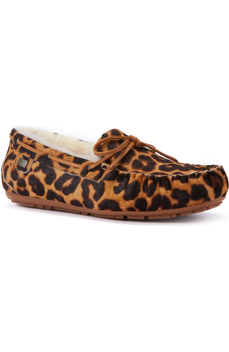 Australia Luxe Collective Prost Genuine Shearling Slipper, Main, color, Leopard