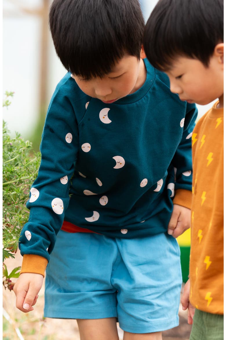 Print Organic Cotton Crewneck Sweatshirt, Alternate, color, BLUE