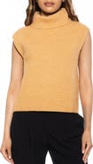 Alexia Admor Jaylani Sleeveless Turtleneck Sweater