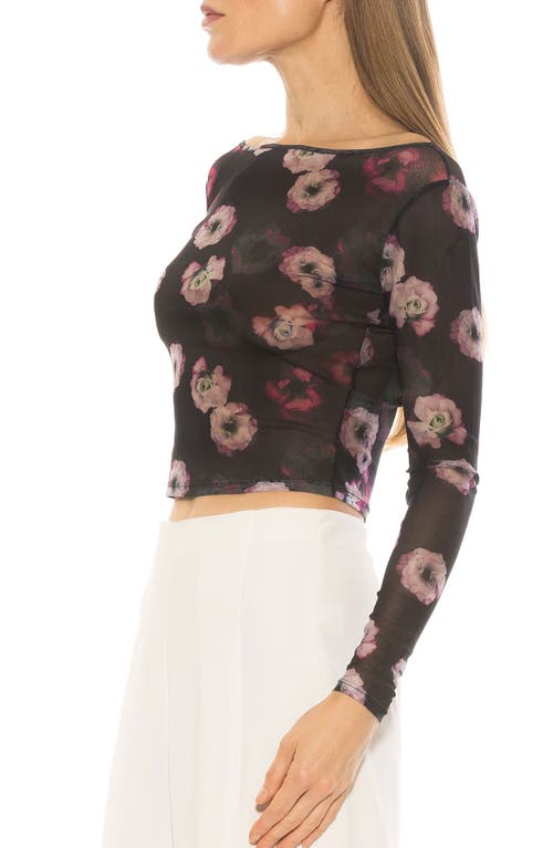 Alexia Admor Opal Boatneck Sheer Mesh Top In Black Multi