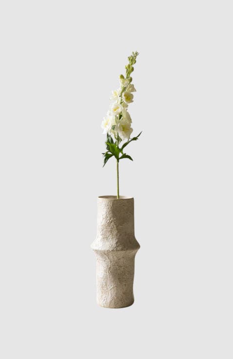 White Delphinium Flower