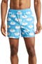 Cold Chillin' Swim Trunks