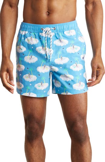 Cold Chillin' Swim Trunks