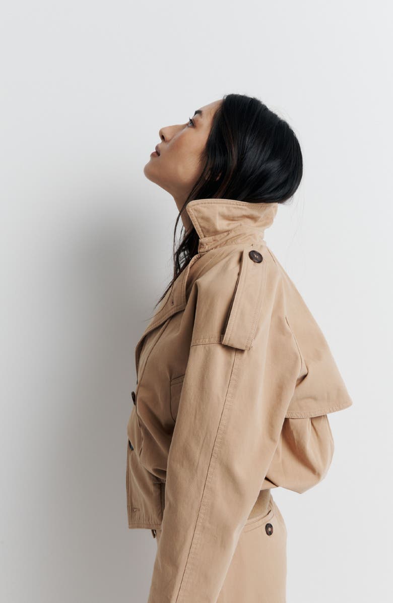 Romy Blair Jacket, Alternate, color, Tan