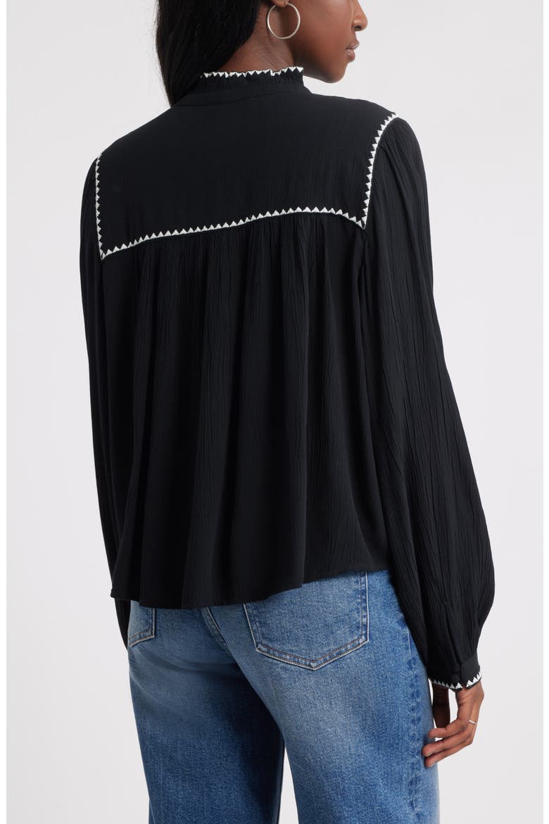 High Neck Embroidered Long Sleeve Top, Alternate, color, BLACK