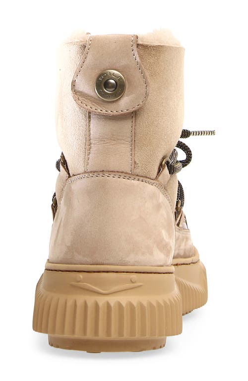 Voile Blanche Cortina Genuine Shearling Bootie In Brown