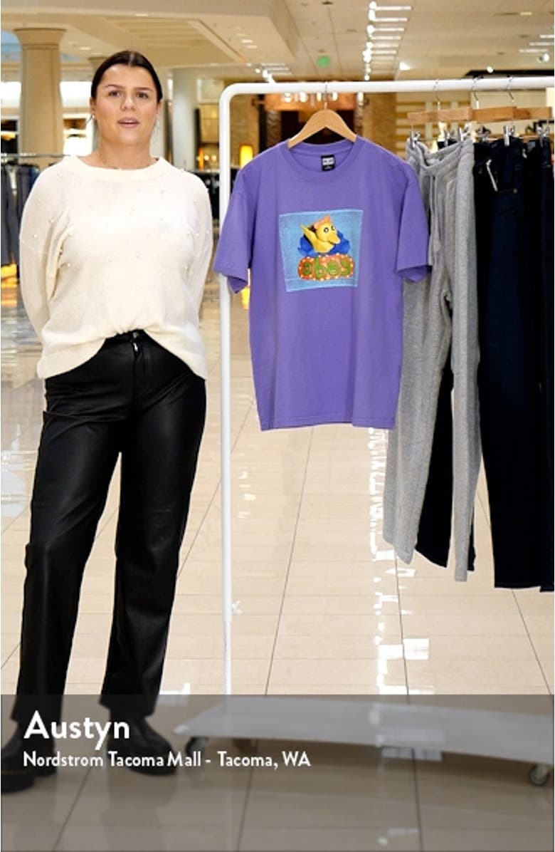 Clay Duck Cotton Graphic Tee, sales video thumbnail