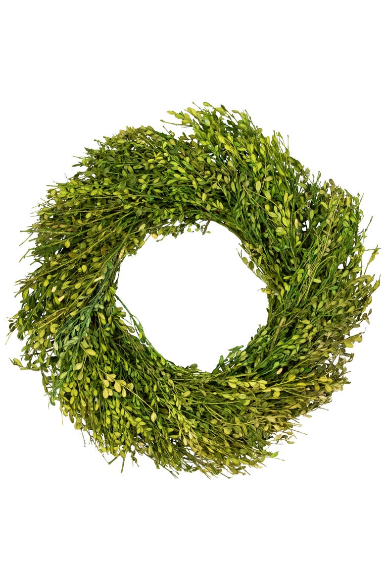 Green Foliage Artificial Spring Wreath - 20' - Unlit, Main, color, Green