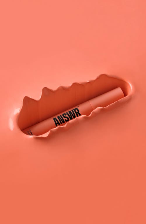 ANSWR ANSWR FLYAWAY & BROW CONTROL STICK