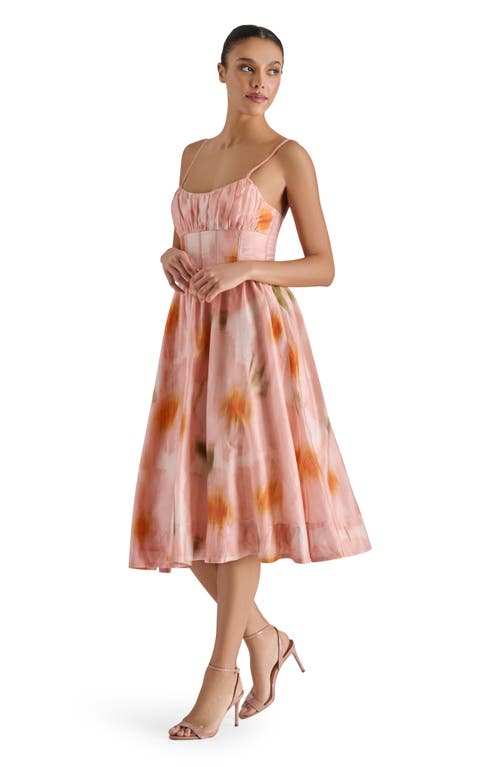 Steve Madden Bondi Dress