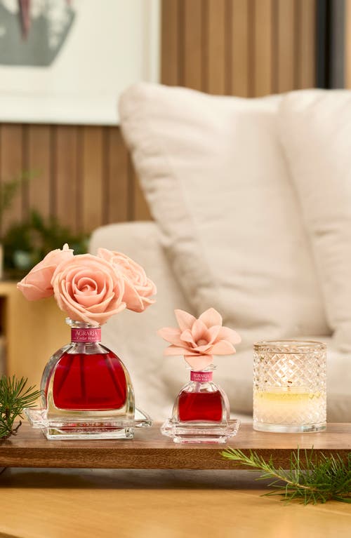 Agraria San Francisco Holiday Petite Diffuser In Pink