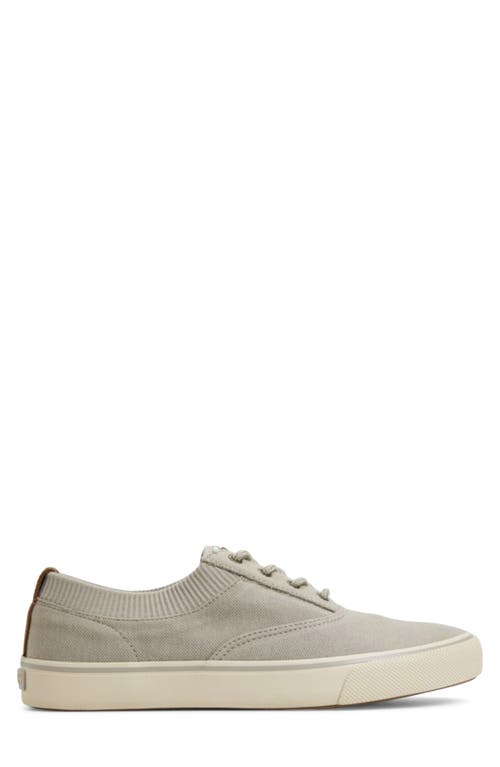 Sperry Top-sider® Sperry Striper Ii Cvo Sneaker In Grey