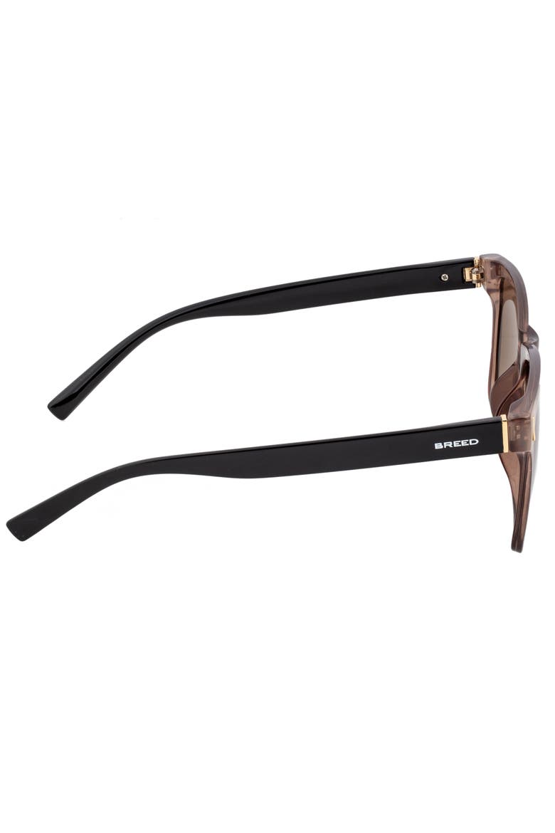 Pictor Polarized Sunglasses, Alternate, color, Grey/Black