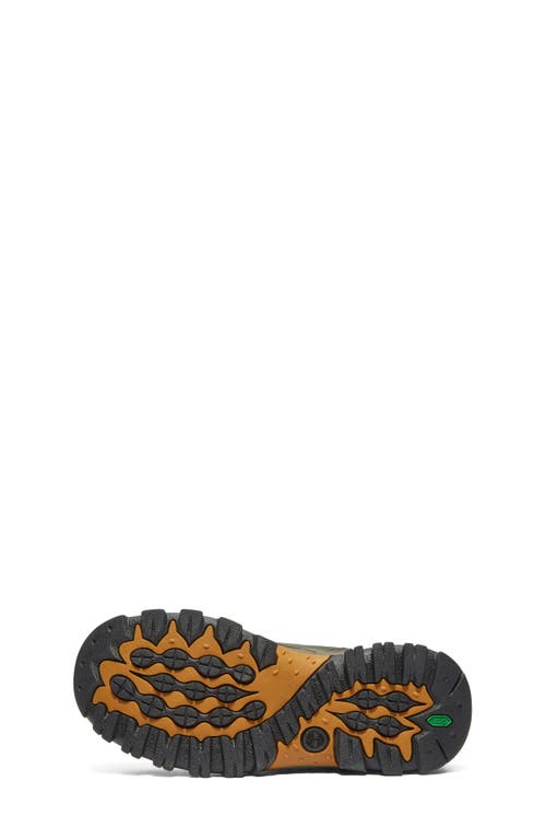 Timberland Kids' Mt. Maddsen Waterproof Hiking Boot In Dark Brown