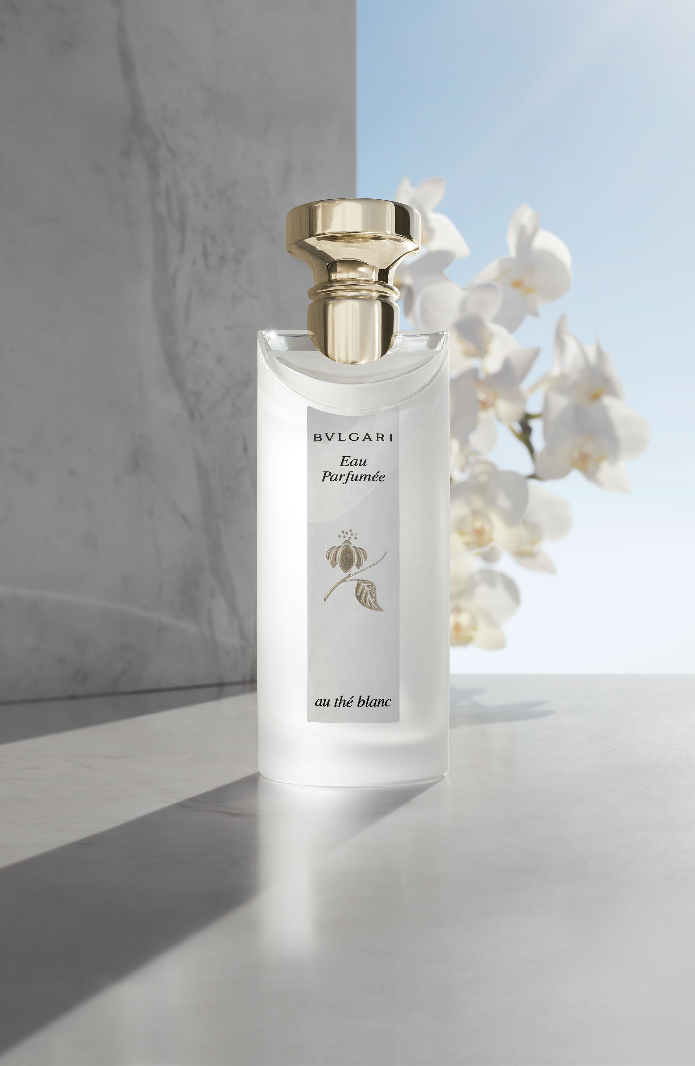 Eau Parfumée au thé blanc Eau de Cologne Spray (Women) | Nordstrom