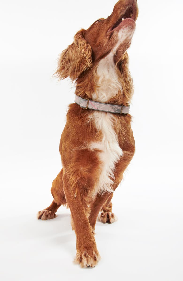 Barbour Reflective Tartan Dog Collar, Alternate, color, 