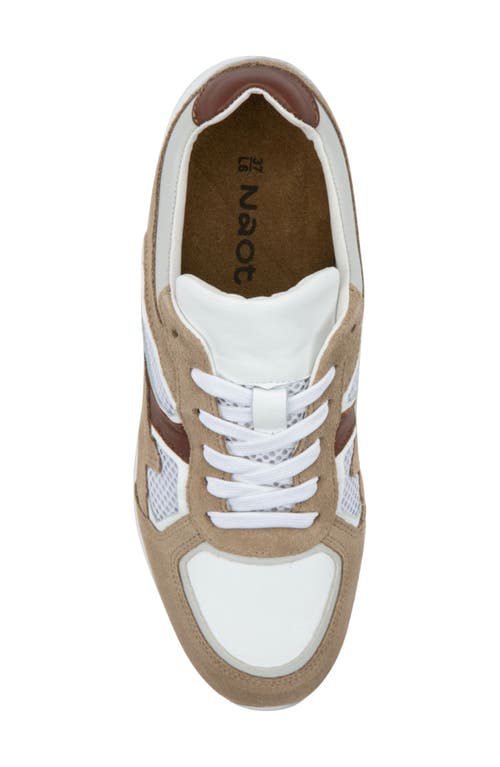 Naot Collins Sneaker In Multi