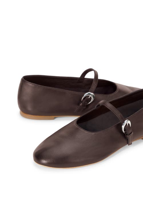 Staud Alba Mary Jane Ballet Flats Espresso In Multi