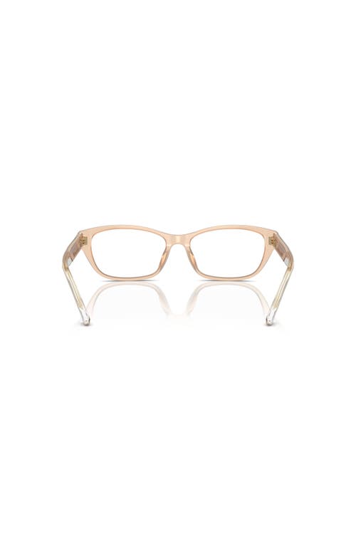 Emporio Armani 52mm Cat Eye Optical Glasses In Orange