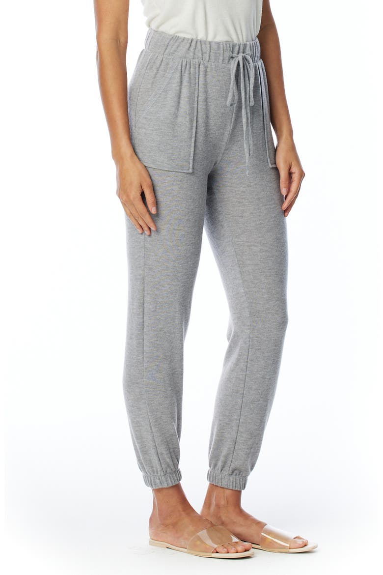 Erza Cozy Jogger Pants, Alternate, color, HEATHER GREY