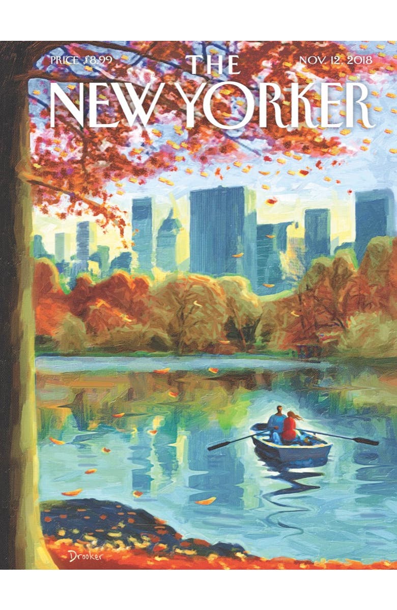 NEW YORK PUZZLE COMPANY Central Park Row 500 Piece Puzzle, Alternate, color,