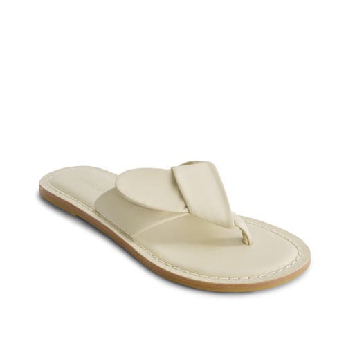 BERNARDO FOOTWEAR BERNARDO FOOTWEAR LAIA THONG SANDAL 