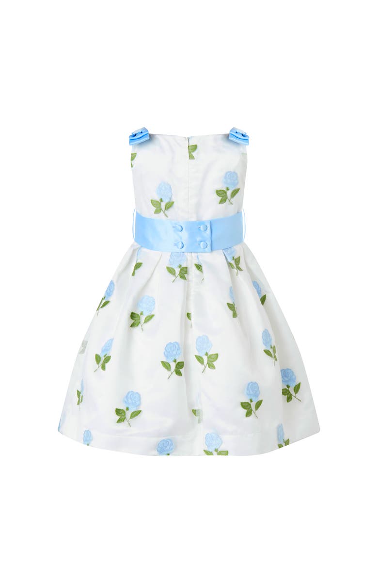 Rachel Riley Rose Embroidered Organza Dress, Alternate, color, Blue