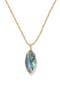 Gold Abalone Shell