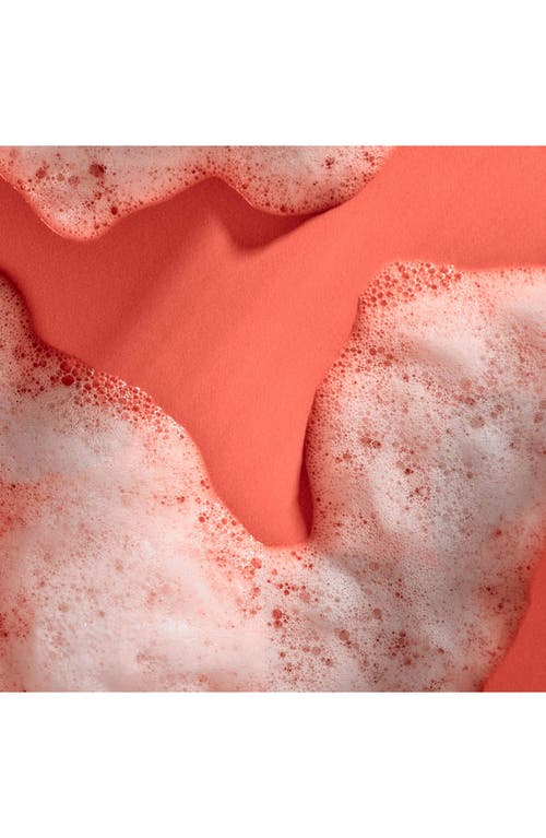 Tree Hut Sweet Punkin Foaming Gel Wash In Transparent
