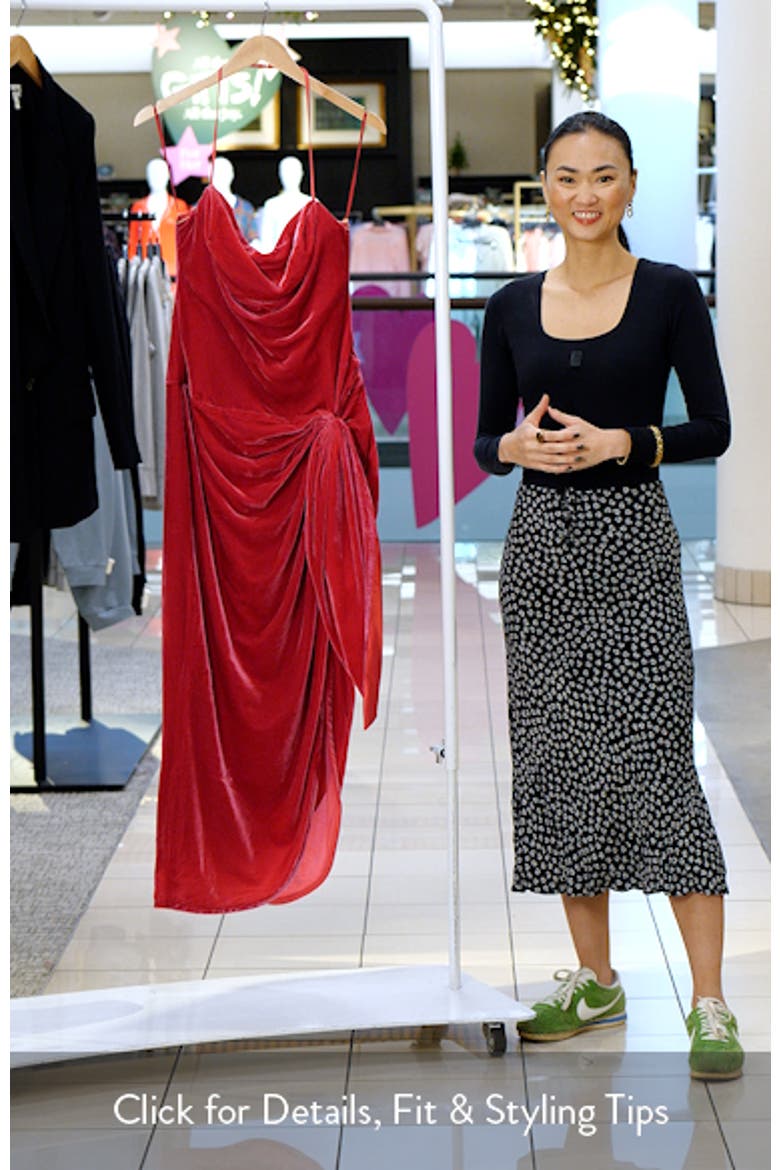 Noah Velvet Halter Maxi Dress video