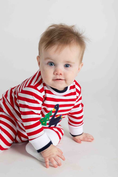 Florence Eiseman Stripe Knit Longall With Dino And Chistmas Tree In Red