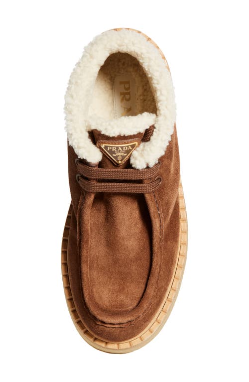 Prada Genuine Shearling Derby Bootie