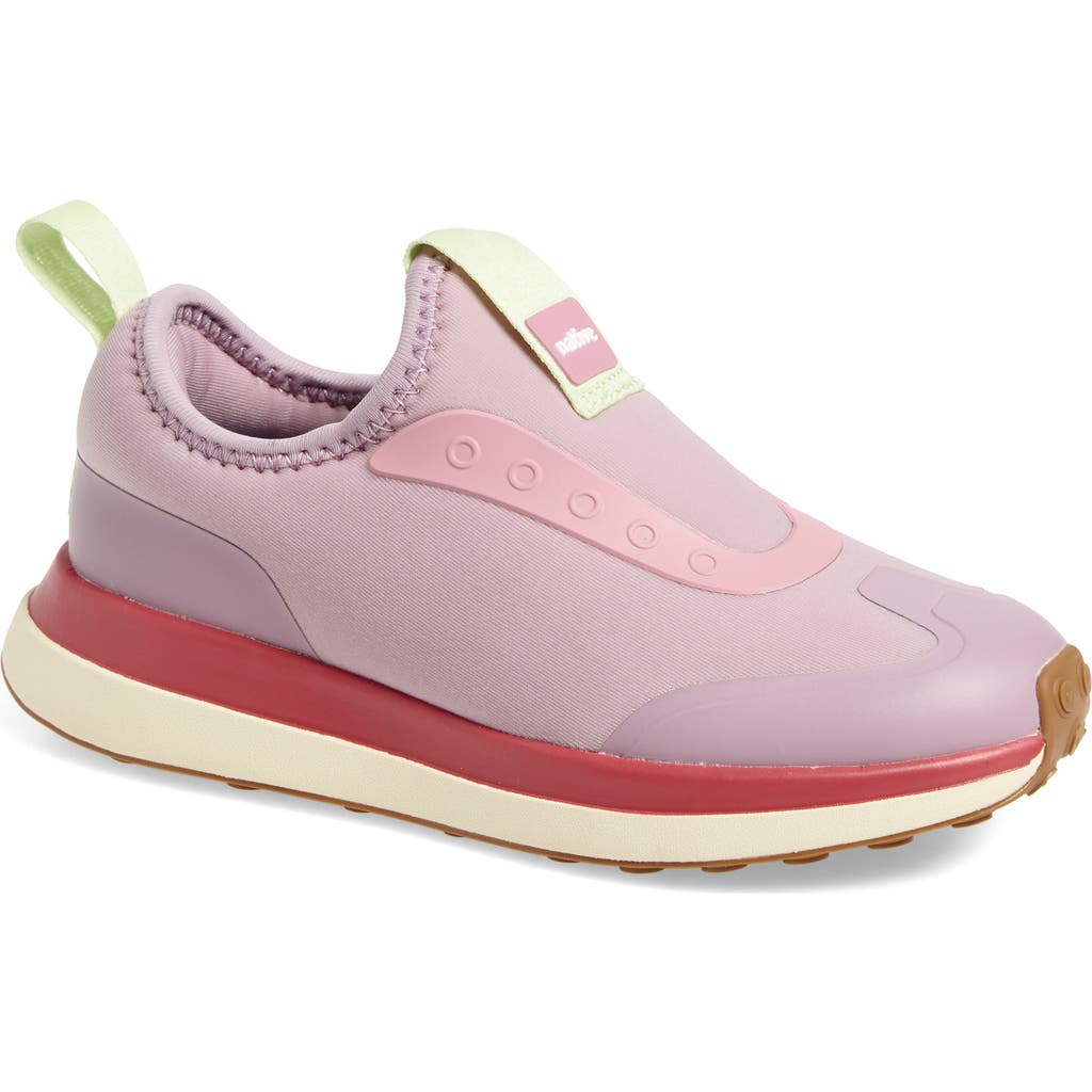 Native Shoes Robbie Dash Slip-on Sneaker In Multi