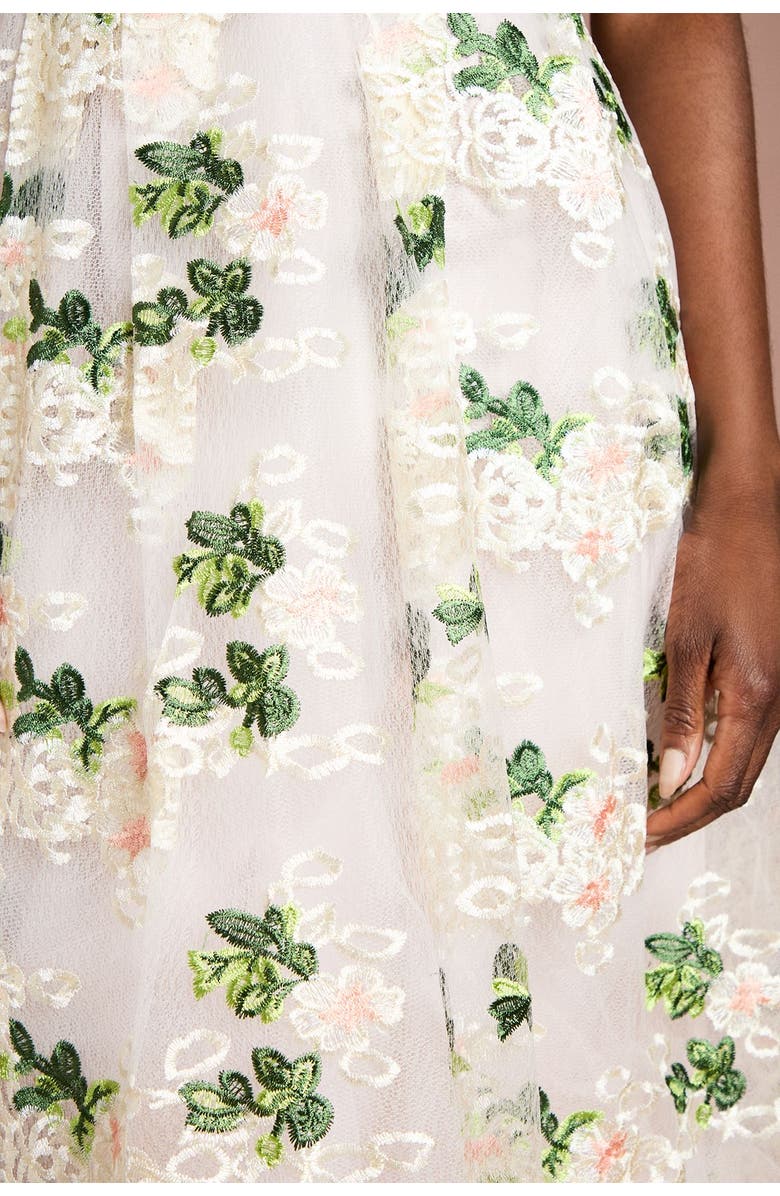 Coast Embroidered Mesh Lace Skirted Midi Dress, Alternate, color, Blush