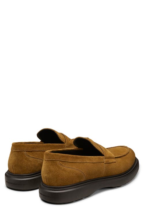 Stuart Weitzman Alvin Penny Loafer In Cactus