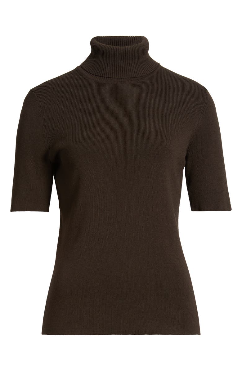 Anne Klein Short Sleeve Turtleneck Sweater, Alternate, color, 