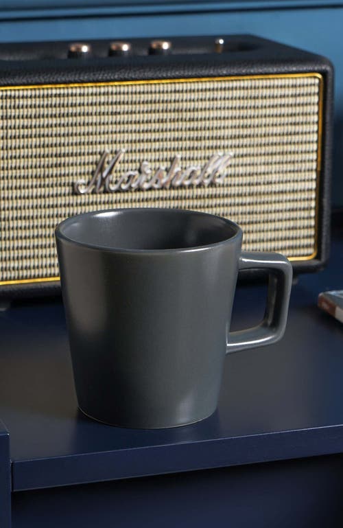 Stone Lain Celina Stoneware 4-piece Mug Set In Gray