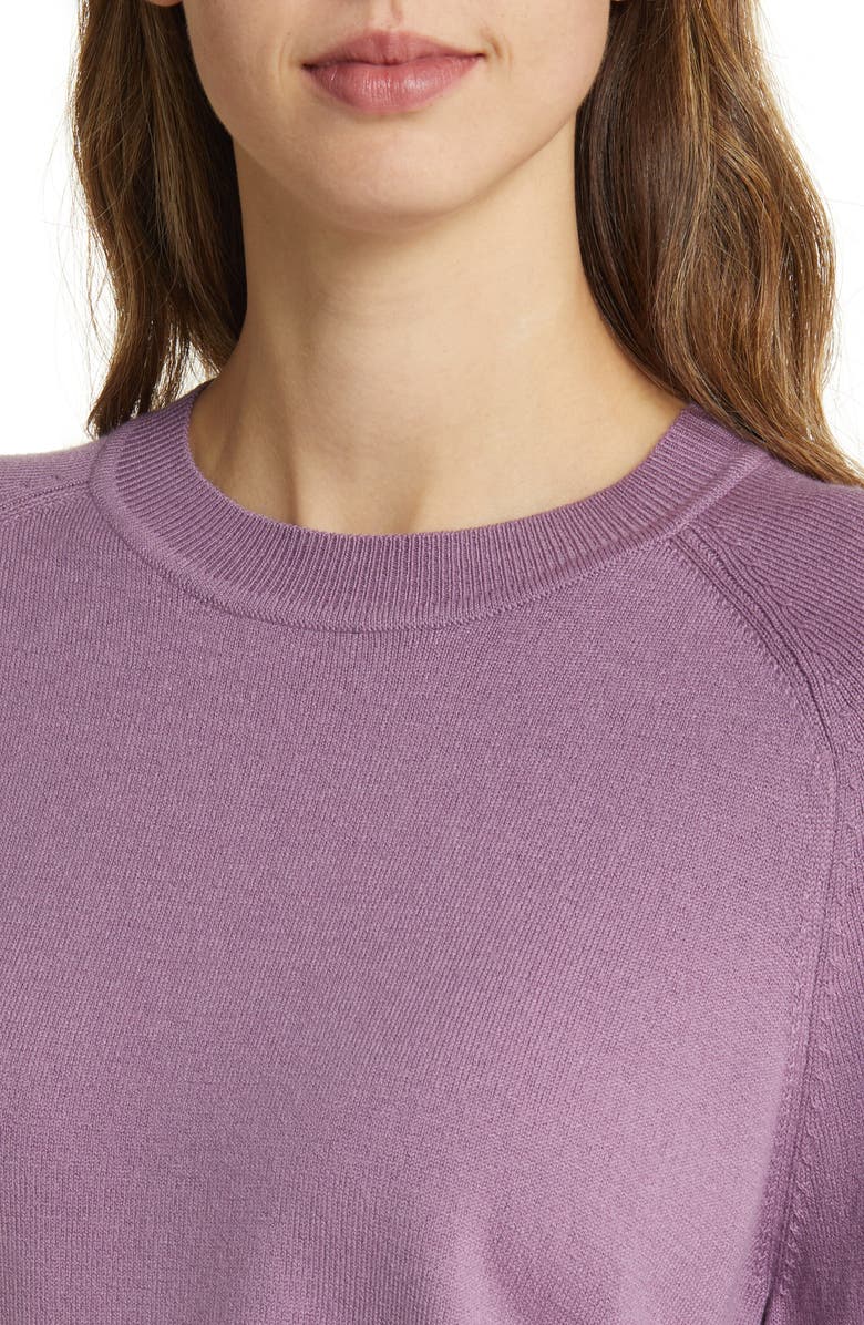 Nordstrom Crewneck Sweater, Alternate, color,