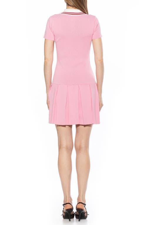 Alexia Admor Rory A-line Polo Dress In Pink