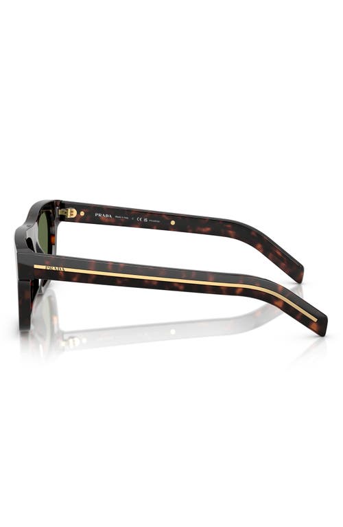 Prada Acetate Prb12s Sunglasses In 17n20g55 Brown Tort
