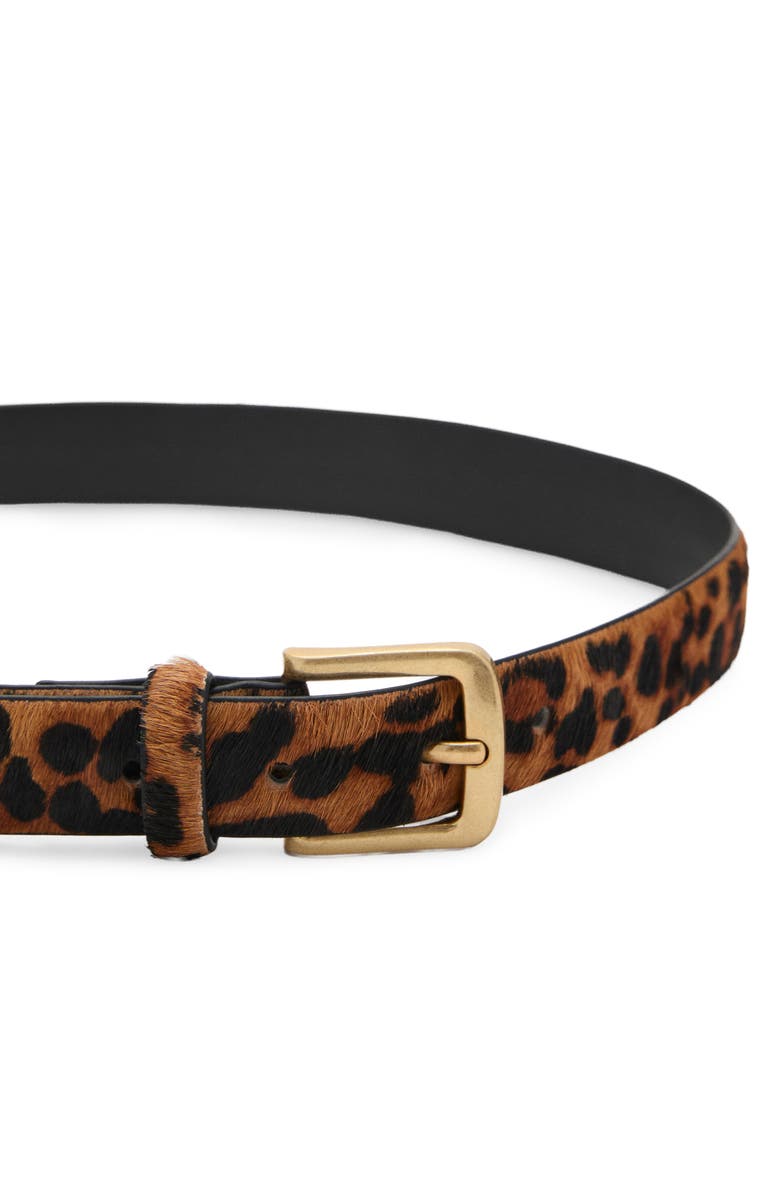 MANGO Animal Print Genuine Calf Hair Belt, Alternate, color, Brown