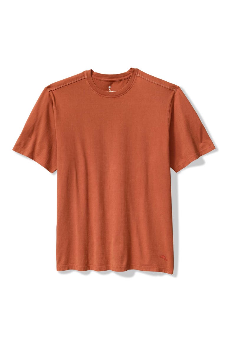 Kauai Keys T-Shirt, Main, color, CINNAMON STICK