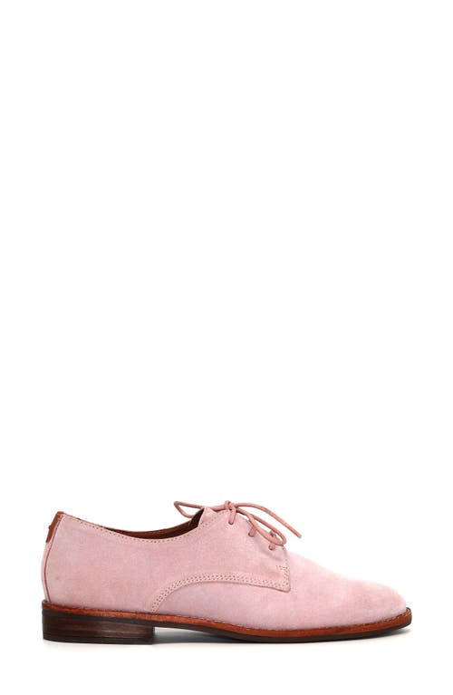 Gentle Souls Aronson Derby In Pink