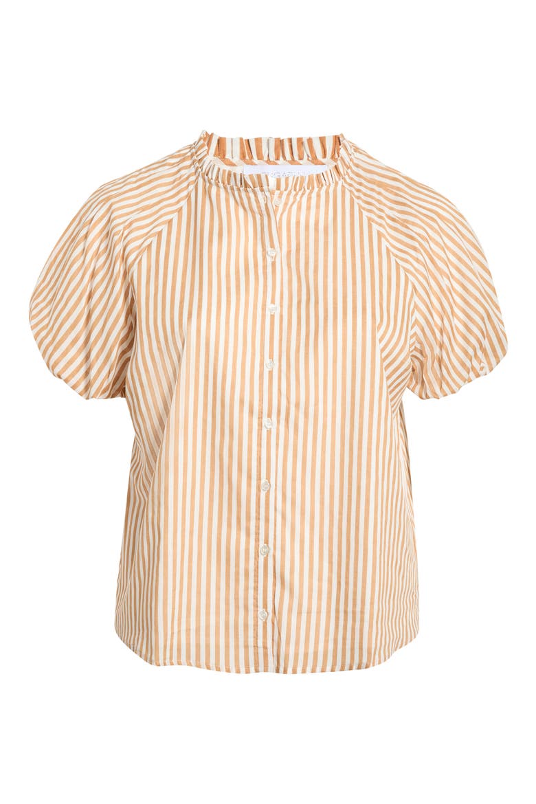 Dream State Avy Cotton Button-Up Top, Alternate, color, TAUPE MULTI