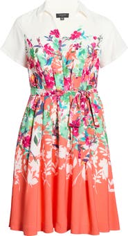 Tahari ASL Floral Print Shirtdress