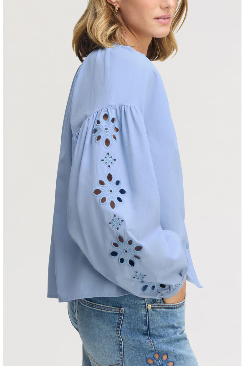 Embroidered Sleeve Top, Alternate, color, AZURE BLUE
