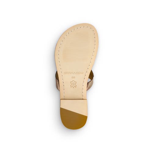Shop Bernardo Footwear Taormina Thong Sandal In Light Pewter